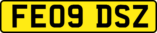 FE09DSZ
