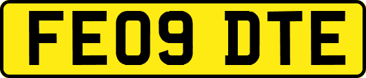 FE09DTE