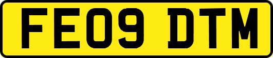 FE09DTM