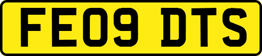 FE09DTS