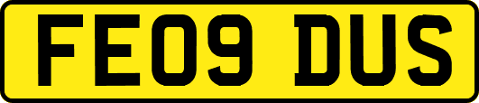 FE09DUS