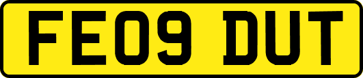 FE09DUT