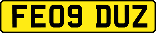 FE09DUZ