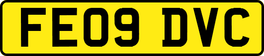 FE09DVC