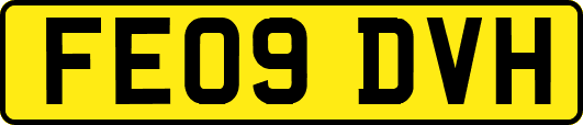 FE09DVH