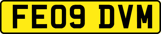 FE09DVM