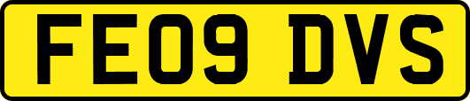 FE09DVS