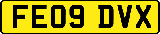 FE09DVX