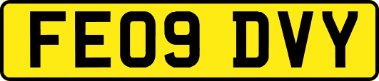 FE09DVY