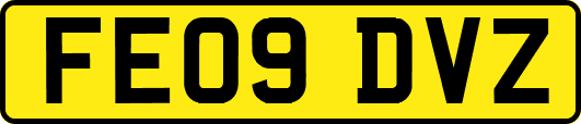 FE09DVZ