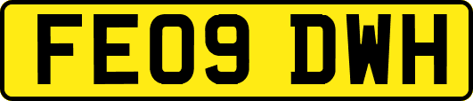 FE09DWH