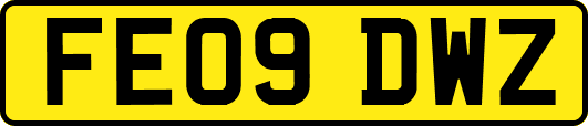 FE09DWZ
