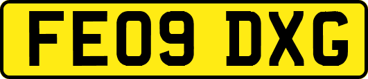 FE09DXG
