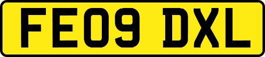 FE09DXL