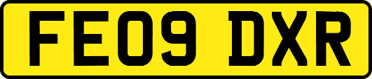 FE09DXR