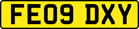 FE09DXY