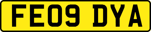 FE09DYA
