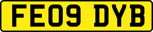 FE09DYB