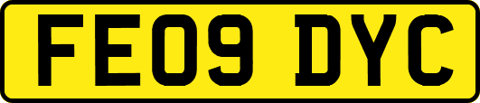 FE09DYC