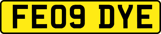 FE09DYE