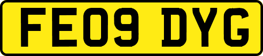 FE09DYG