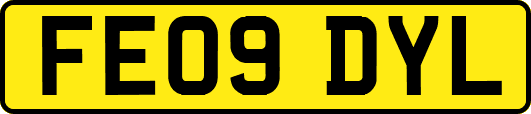 FE09DYL