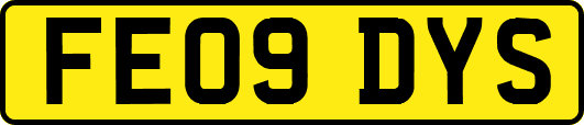 FE09DYS