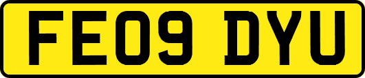 FE09DYU