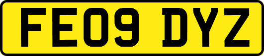 FE09DYZ