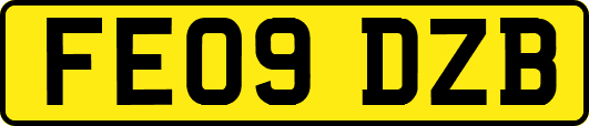 FE09DZB