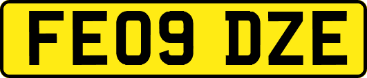 FE09DZE
