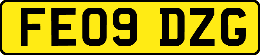 FE09DZG