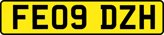 FE09DZH