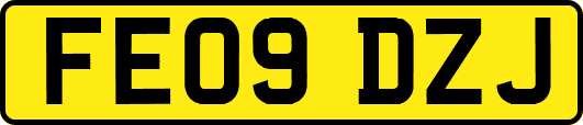 FE09DZJ