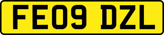 FE09DZL