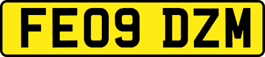 FE09DZM