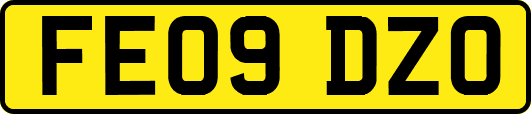 FE09DZO