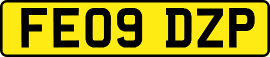 FE09DZP