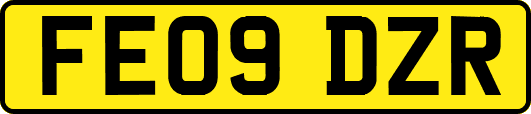 FE09DZR