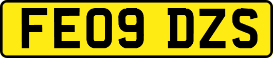FE09DZS