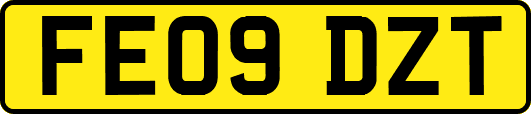 FE09DZT