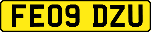 FE09DZU