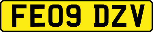 FE09DZV