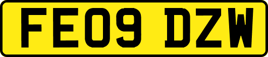 FE09DZW