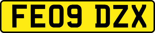 FE09DZX
