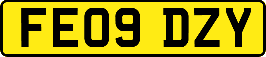 FE09DZY