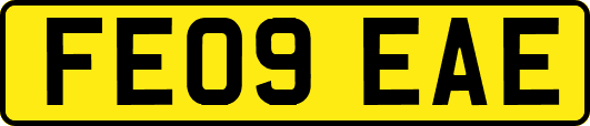 FE09EAE