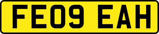 FE09EAH