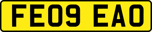 FE09EAO