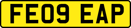 FE09EAP
